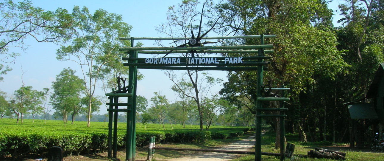 Gorumara-National-Park