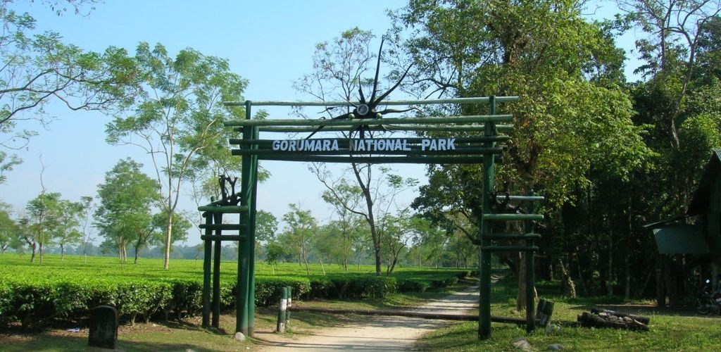 gorumara-national-park