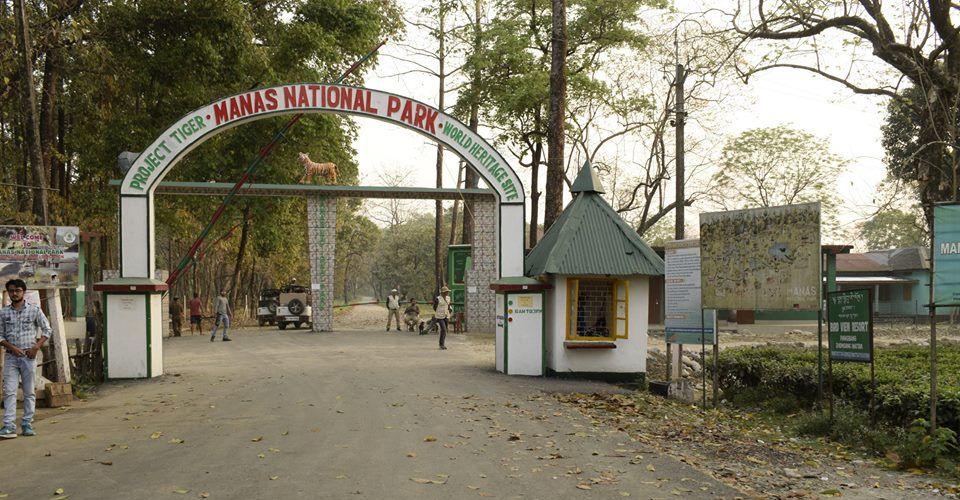 manas-national-park