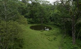 bhutia-basti-watchtower-jayanti-river-buxa-tiger-reserve