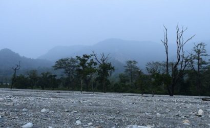 jayanti-buxa-tiger-reserve