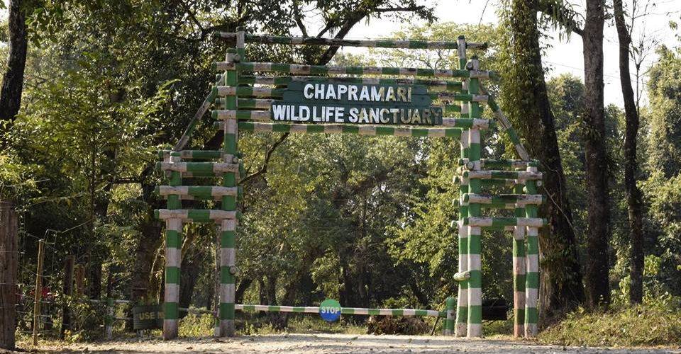chapramari-wildlife-sanctuary